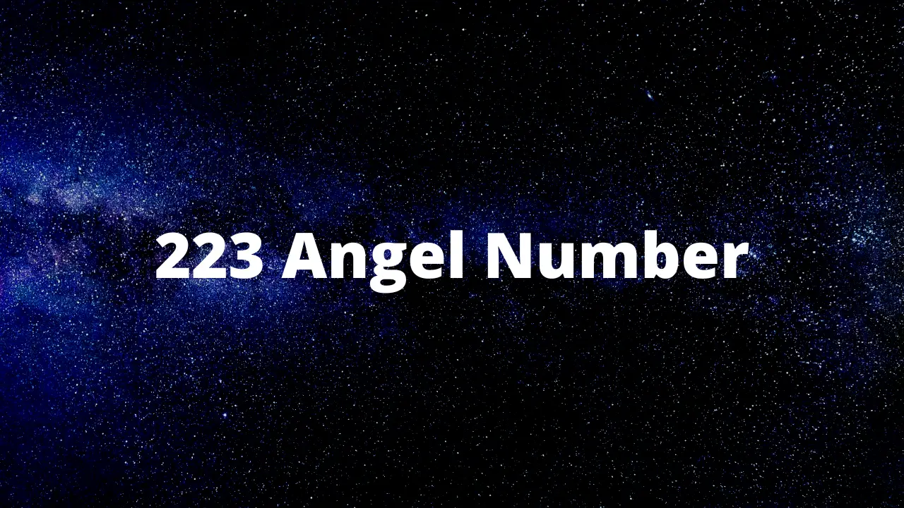 223 Angel Number